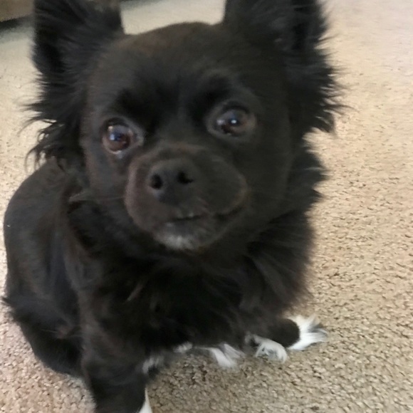 Meet your Posher, Freya EightyEight - Picture 12 of 16